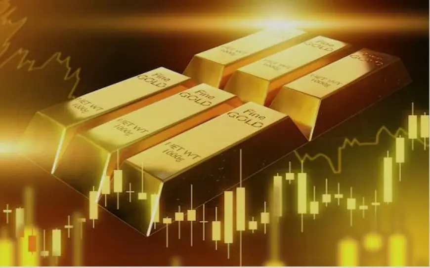 Tanzania gold export costs